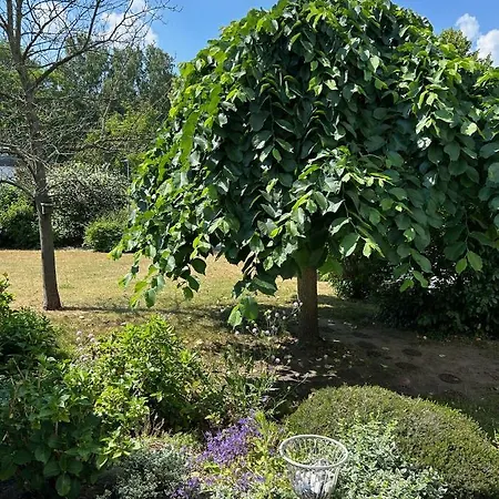 Wohnen Am Schloss アパート ウォルフスブルク